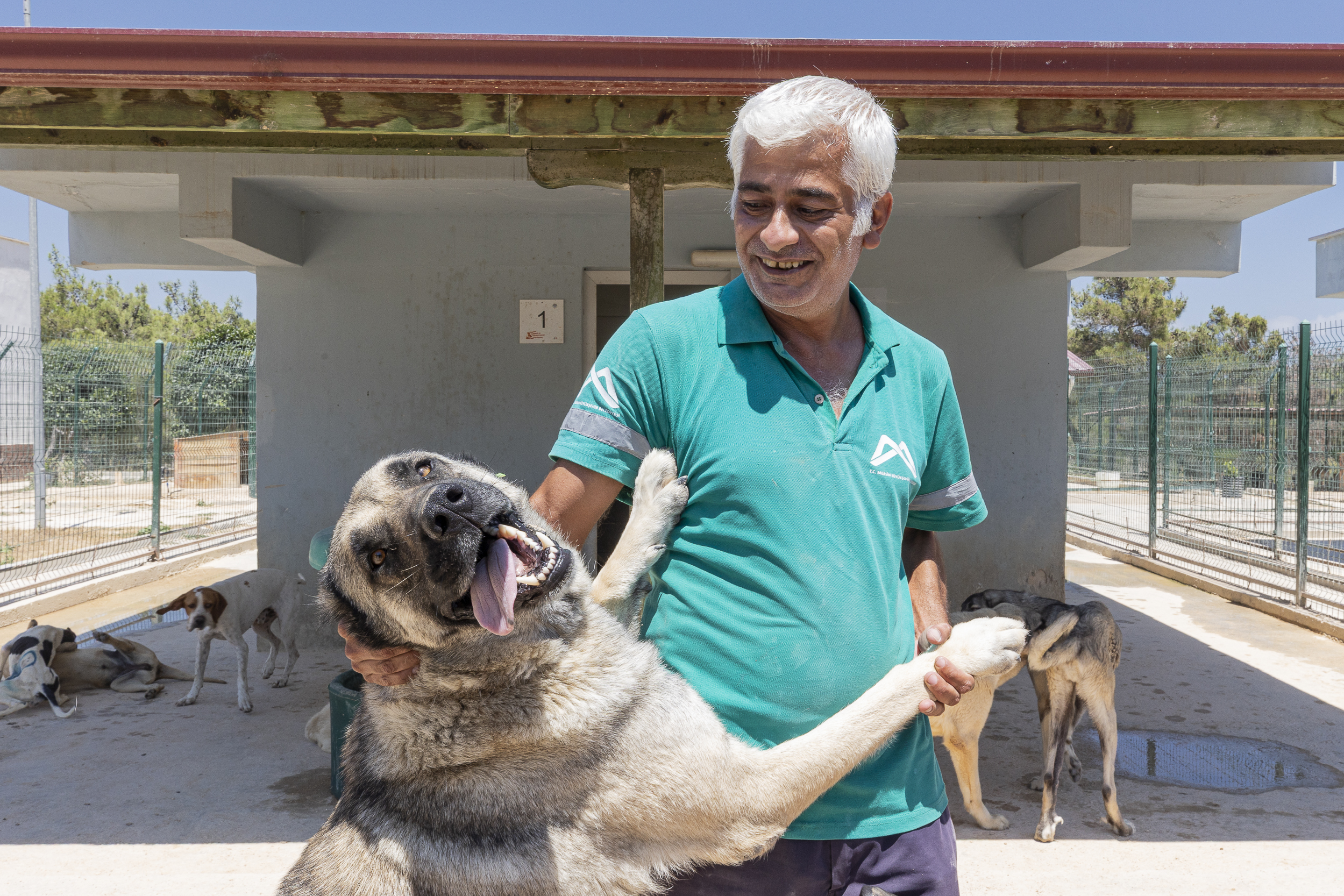 Mersin Büyükşehir Silifke Hayvan Rehabilitasyon Merkezi Başarılı Çalışmalarını Sürdürüyor