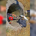 Başkan Seçer 8. Lavanta Hasat Şenliğine Katıldı