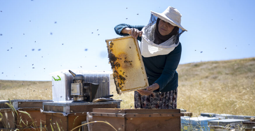 Mersin Büyükşehir Altın Kovan Projesi ile Arıcılığı Destekliyor