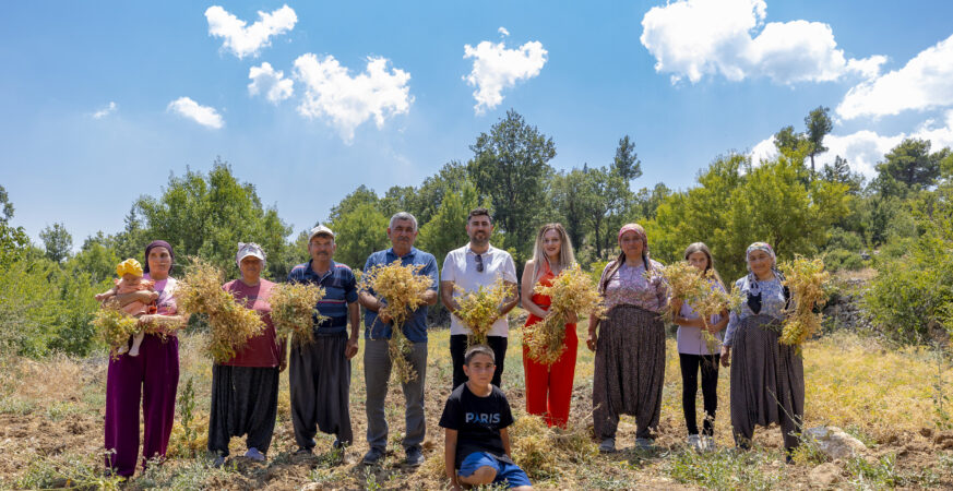 Mersin Büyükşehir Atalık Nohut Hasadını Gerçekleştirdi Mersin Büyükşehir Atalık Nohut Hasadını Gerçekleştirdi