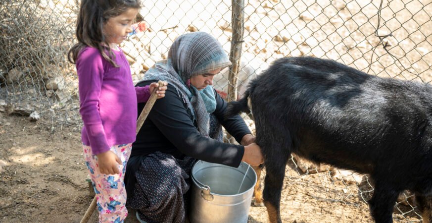 Mersin Büyükşehir Güneş Paneli Desteği Konargöçerleri Aydınlattı Mersin Büyükşehir Güneş Paneli Desteği Konargöçerleri Aydınlattı