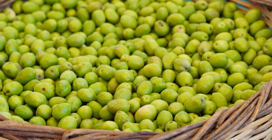 Tarsus 3 Uluslararası Sarıulak Zeytin Festivali Düzenlenecek