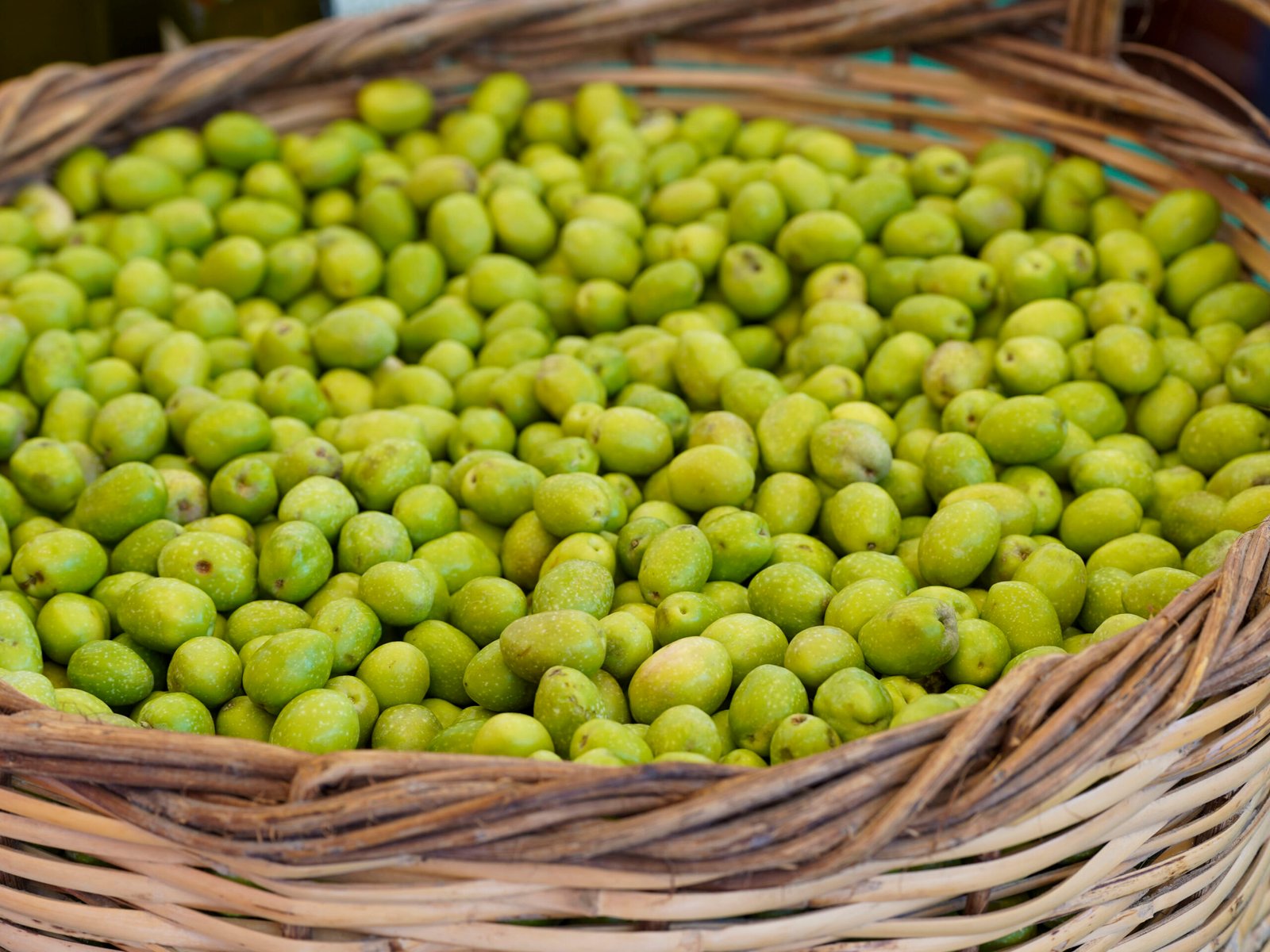 Tarsus 3. Uluslararası Sarıulak Zeytin Festivali Düzenlenecek Tarsus 3 Uluslararası Sarıulak Zeytin Festivali Düzenlenecek